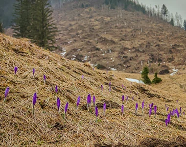 Dolina Lejowa to mniej znana tatrzańska dolina. Tu na szlaku jest zdecydowanie ciszej niż na popularnych szlakach prowadzących Doliną Kościeliska, czy Chochołowską